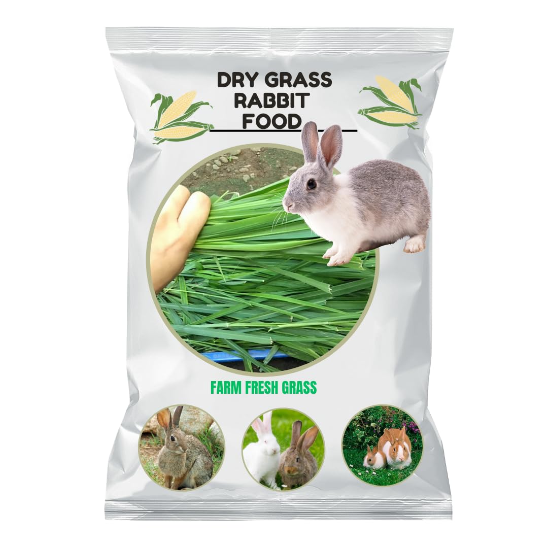Healthy Rabbit Food Collection