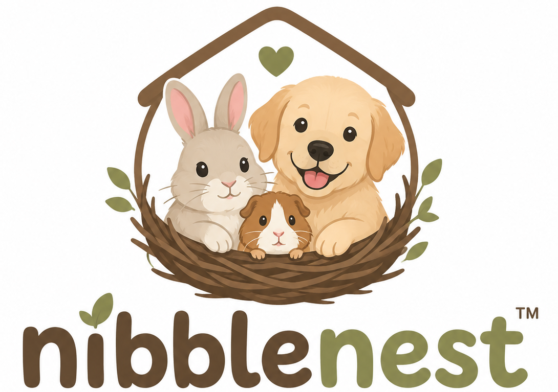 nibblenest.in