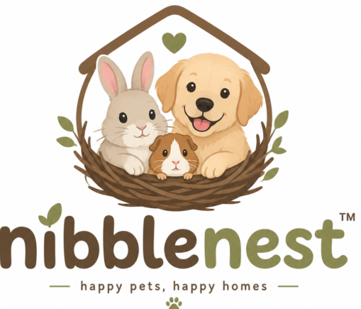 nibblenest.in