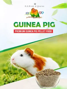 Premium Guinea Pig Food – 1kg