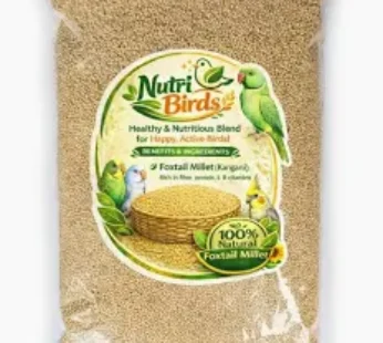 Nutritious Bird Seed Mix – 500g